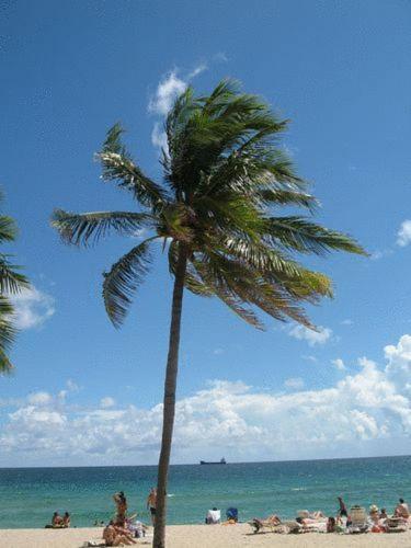 Seaside Motel Fort Lauderdale Exterior foto